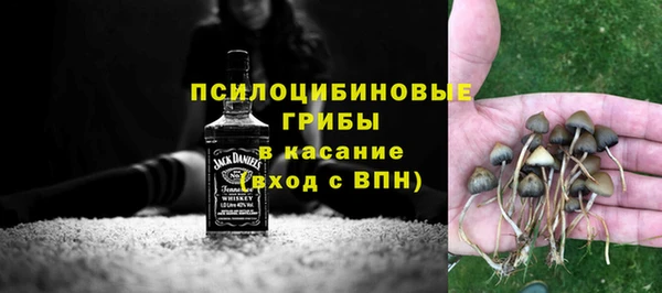 дживик Белоозёрский