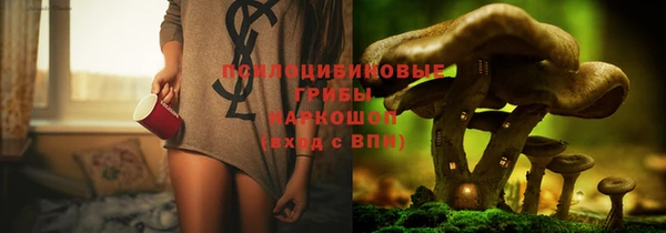 дживик Белоозёрский